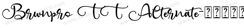Brwnpro TT Alternate字体转换
